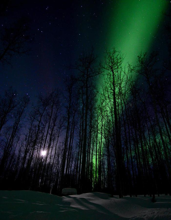 Wildmoon Home Фэрбанкс Экстерьер фото